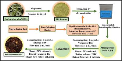 Development of a food preservative from sea buckthorn together with chitosan: Application in and characterization of fresh-cut lettuce storage